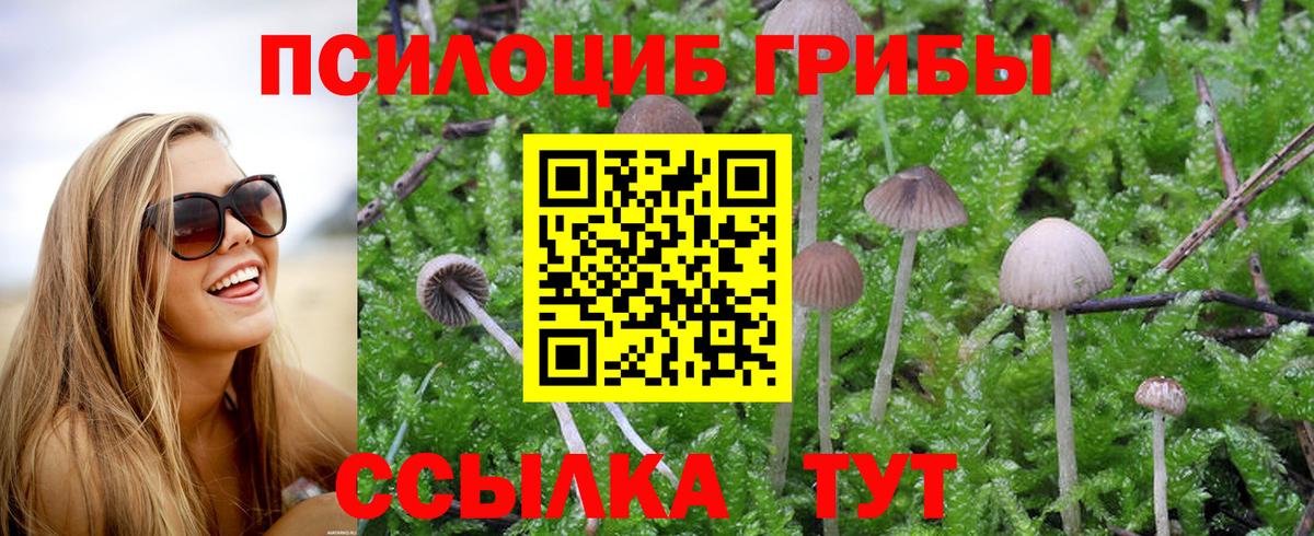 Галлюциногенные грибы мухоморы  купить   Галлюциногенные грибы Cubensis  Алапаевск  Вход с VPN 